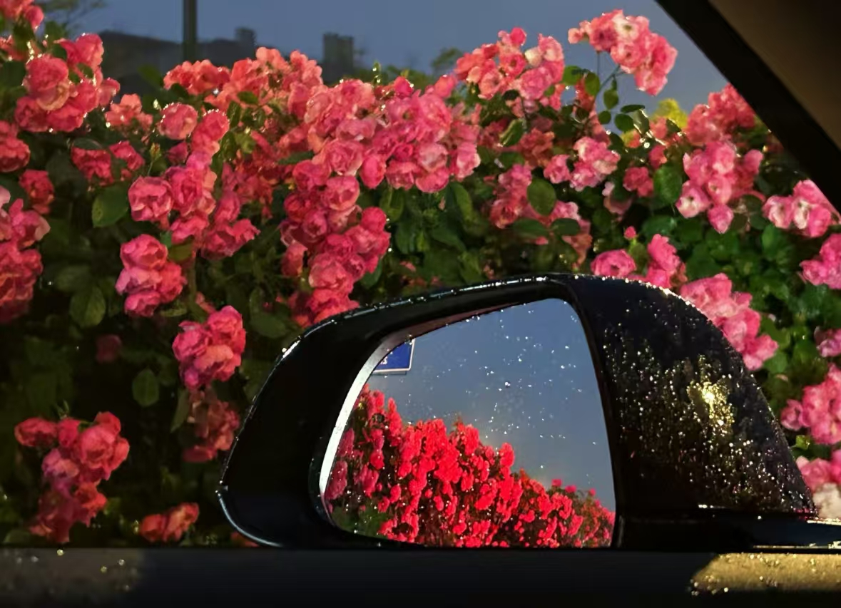 636b3c3225830442d5e6fe5171c2426 636b3c3225830442d5e6fe5171c2426